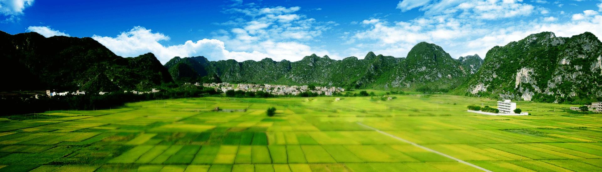 拉筹伯大学